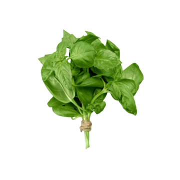 Albahaca