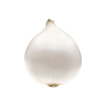 Cebolla Blanca