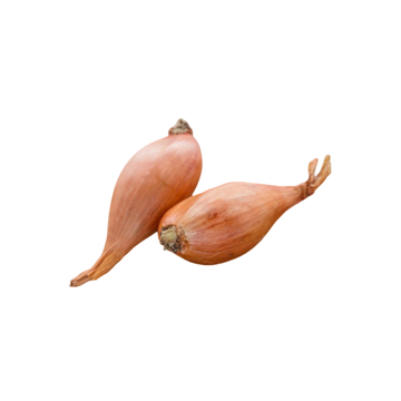 Chalot (Echalote)