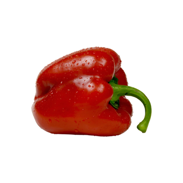 Chile Morron Rojo
