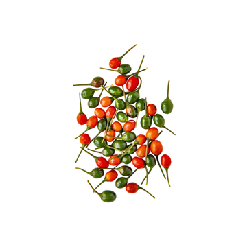 Chile Piquin