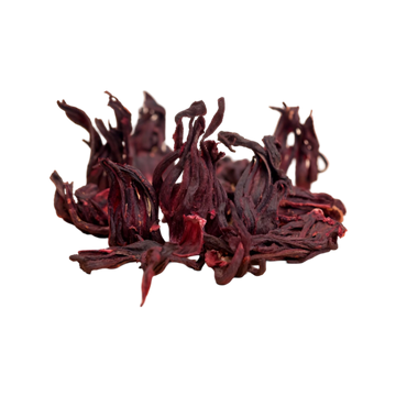 Flor de Jamaica