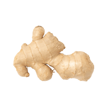 Jengibre
