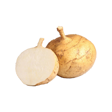 Jicama 1 Pza aprox 850g