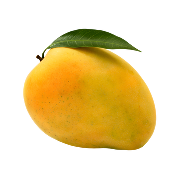 Mango Ataulfo