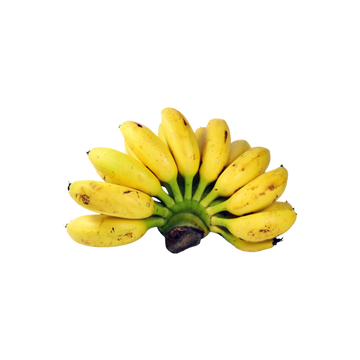 Platano Dominico