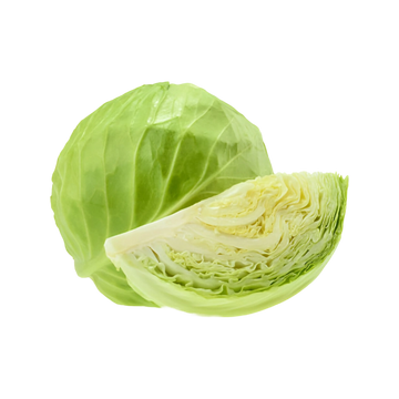 Repollo