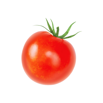 Tomate Bola Extra
