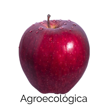 Manzana Roja