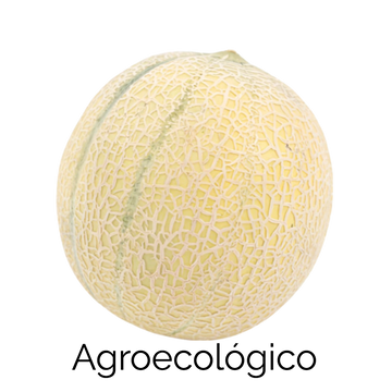 Melón