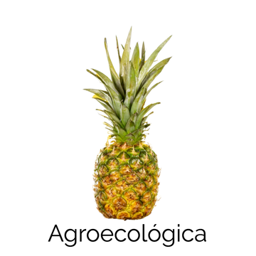 Piña