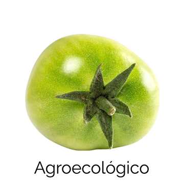 Tomatillo