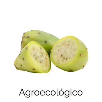 Tuna Verde