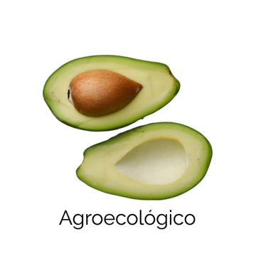 Aguacate
