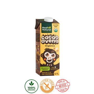Bebida Real Natural sabor Avena Chocolate 1L