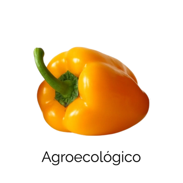 Chile Morrón Amarillo