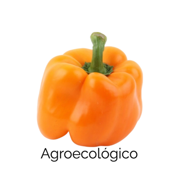 Chile Morron Naranja