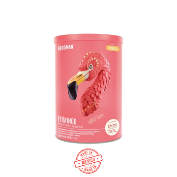 Fitmingo Proteina Vainilla 510g