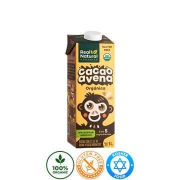 Bebida Real Natural sabor Avena Chocolate 1L