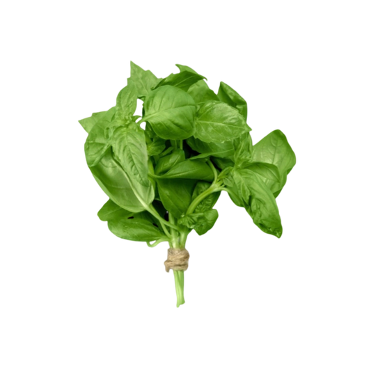 Albahaca