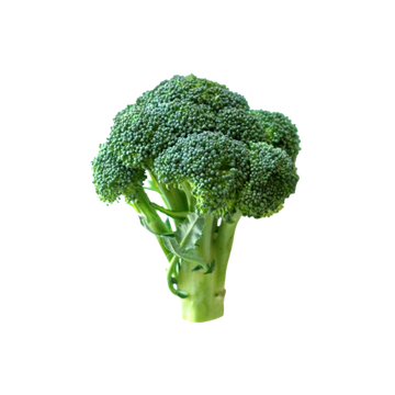 Brócoli