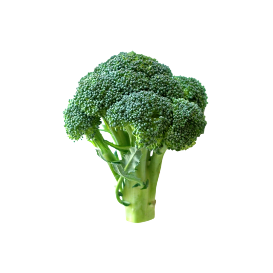 Brócoli