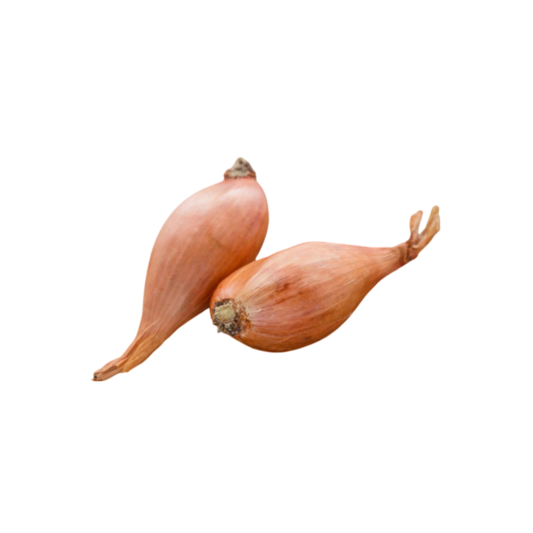 Chalot (Echalote)