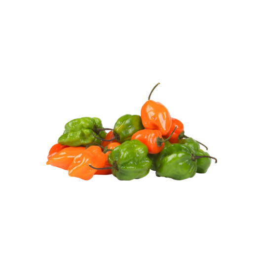 Chile Habanero