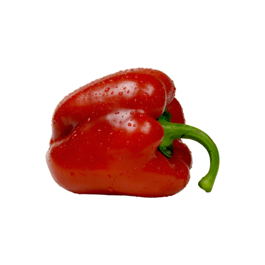 Chile Morron Rojo