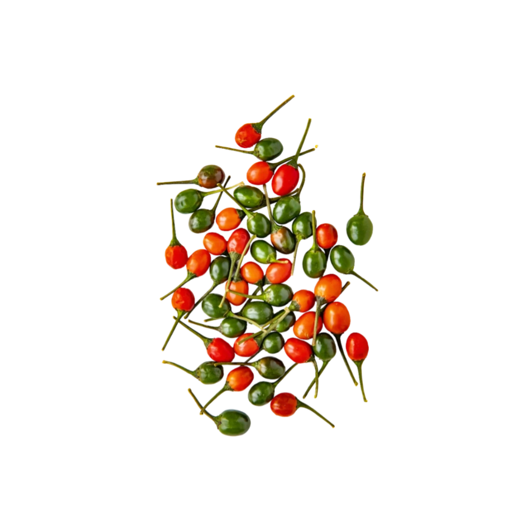 Chile Piquin
