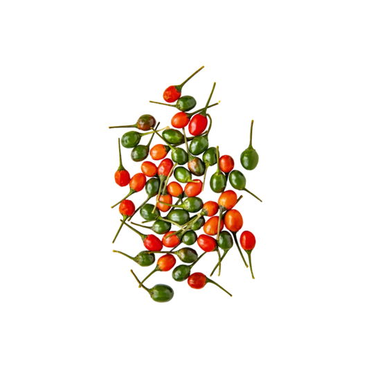 Chile Piquin