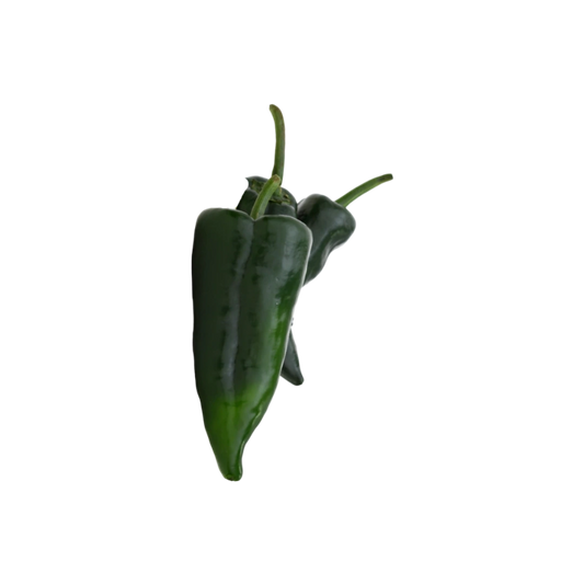 Chile Poblano