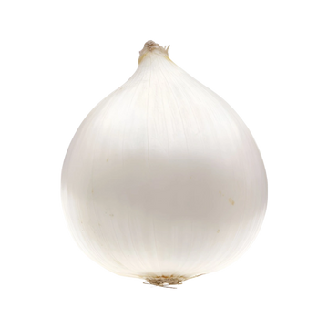 Cebolla Blanca Jumbo