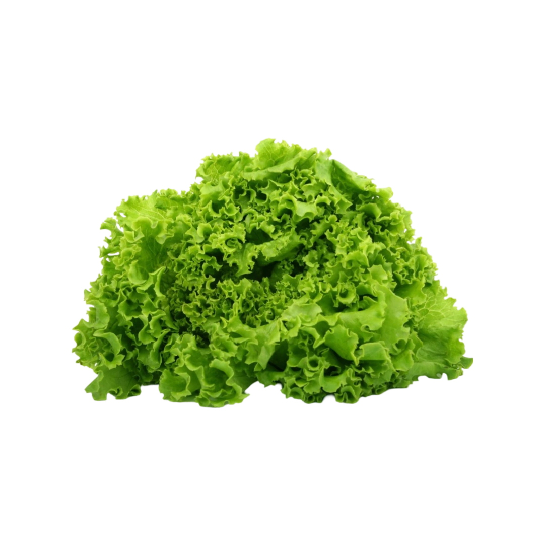 Lechuga Escarola 1 Pza