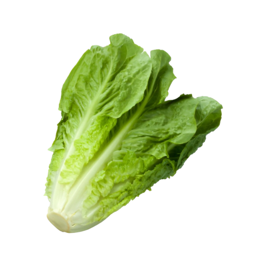 Lechuga Orejona 1 Pza