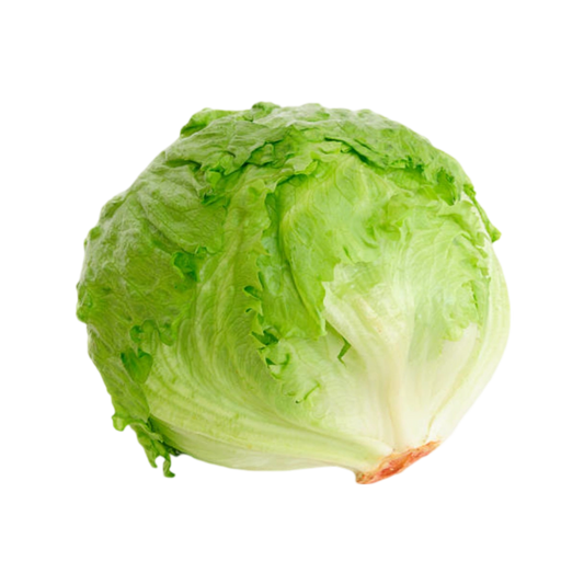 Lechuga Romana 1 Pza
