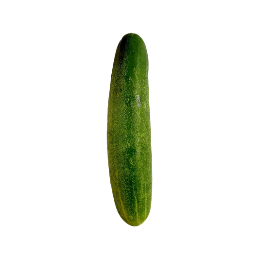 Pepino