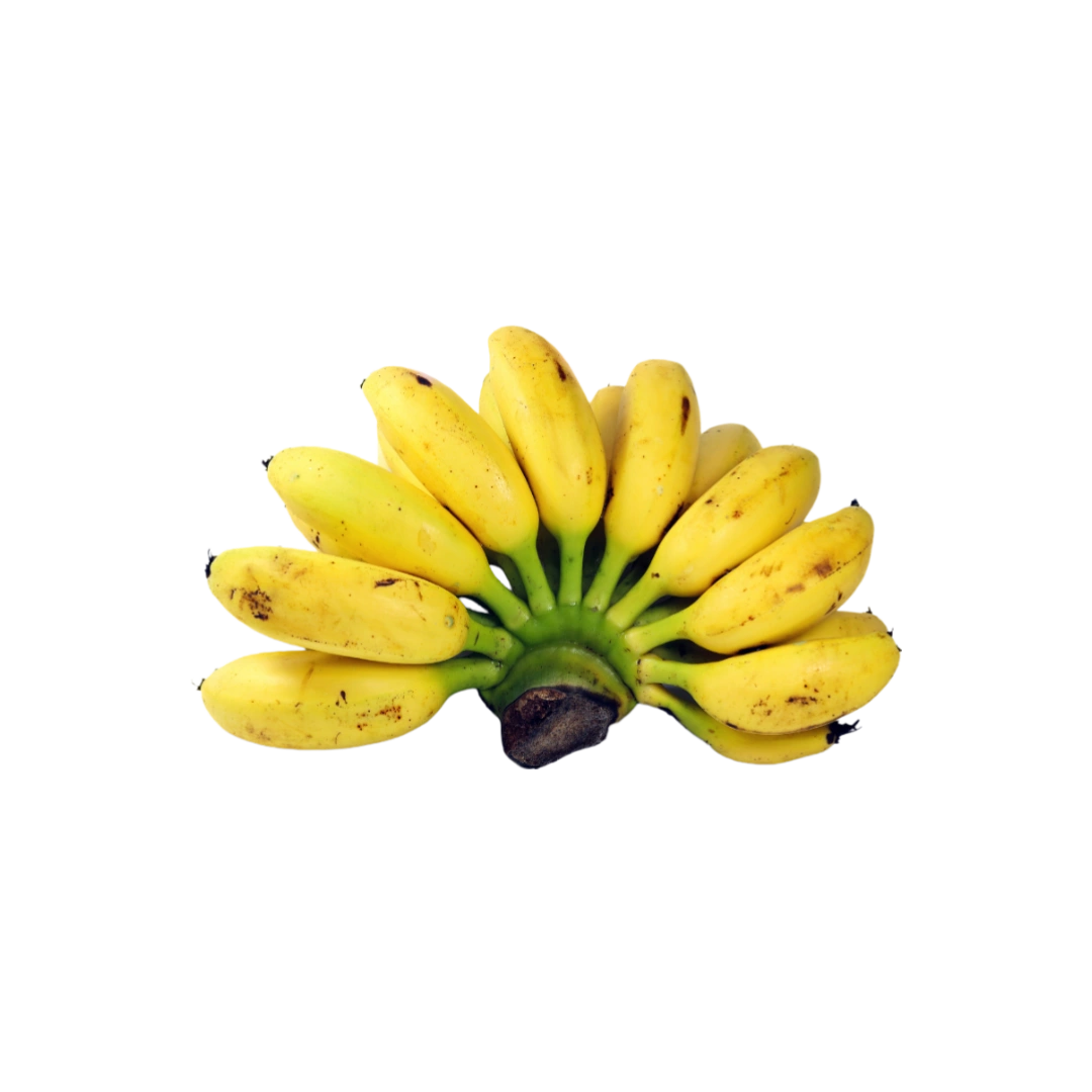 Platano Dominico