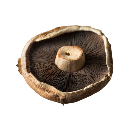 Portobello 500g
