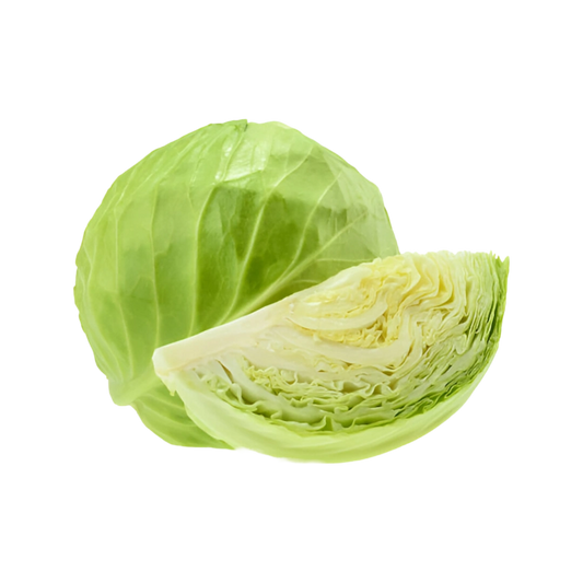 Repollo
