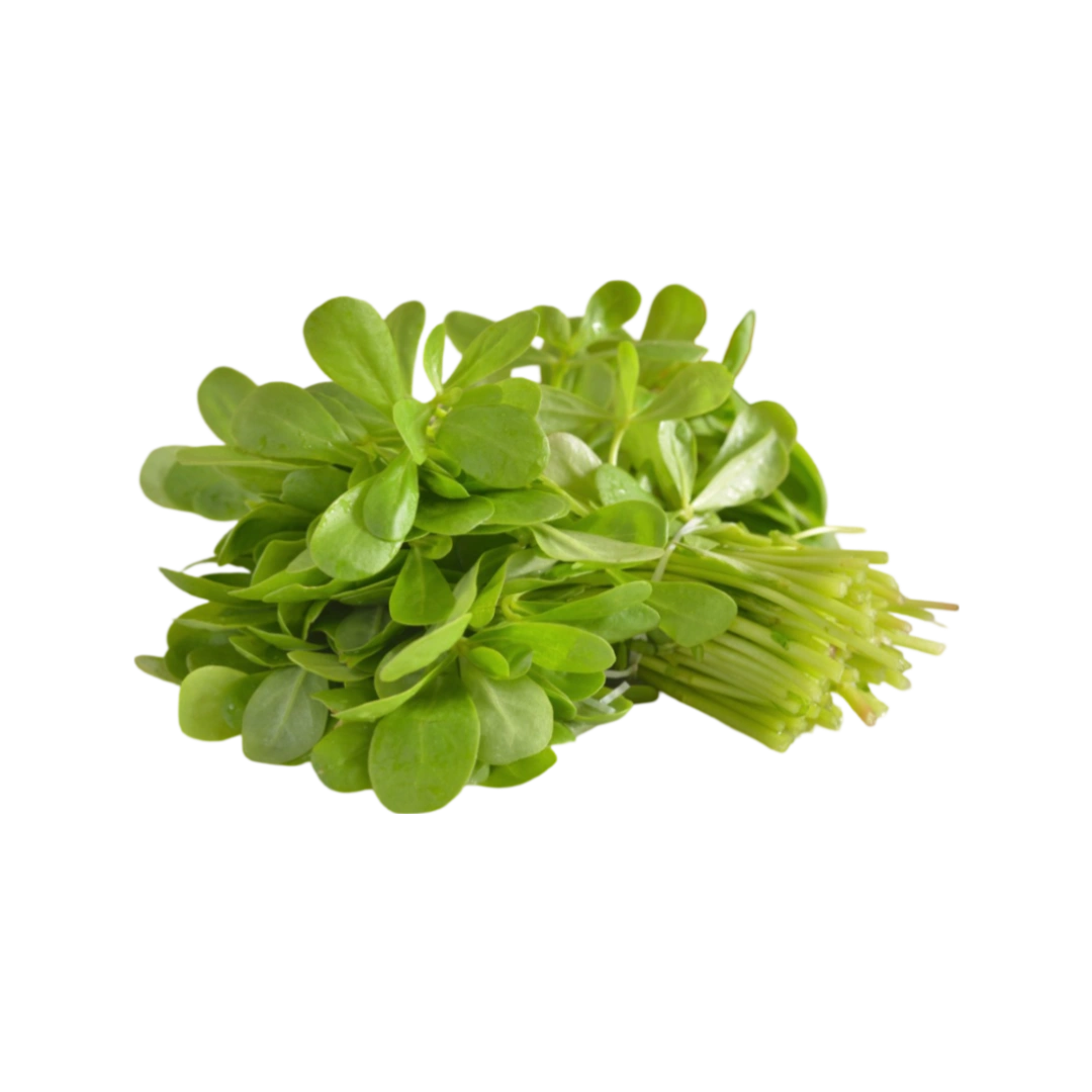 Verdolaga