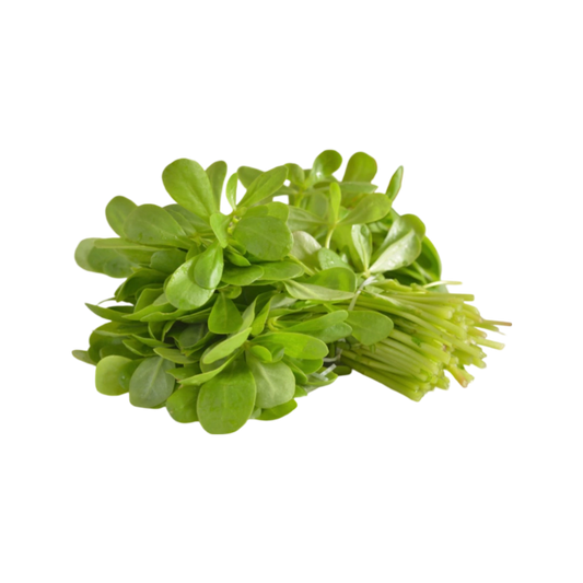 Verdolaga