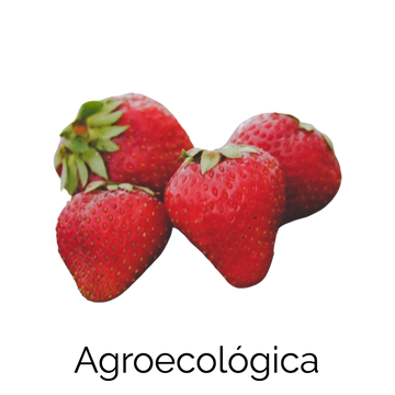 Fresas