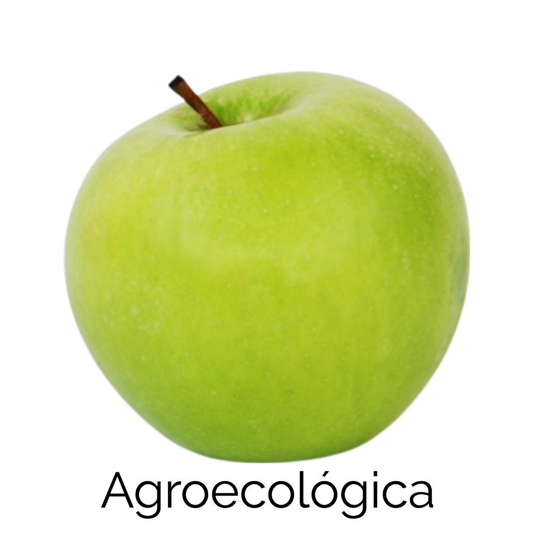 Manzana Verde