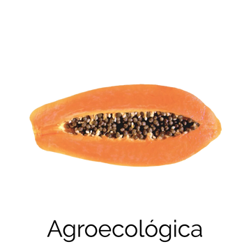 Papaya