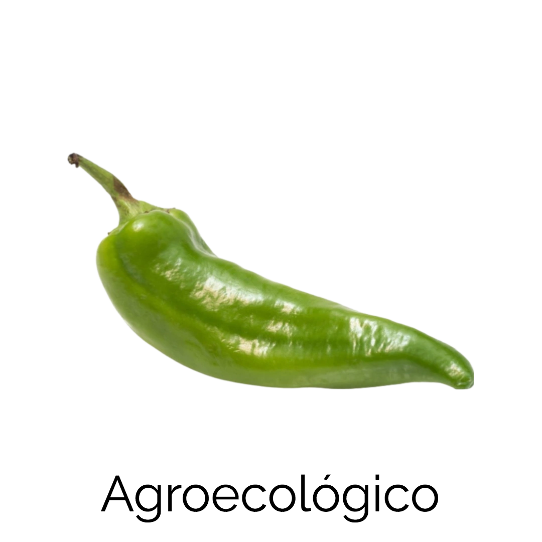 Chile Serrano