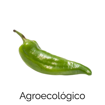 Chile Serrano