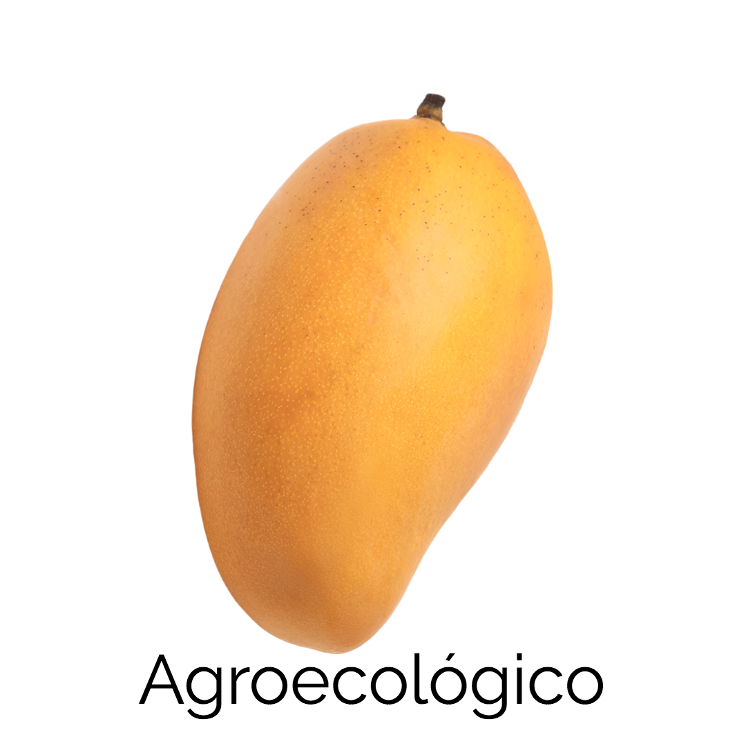 Mango Ataulfo