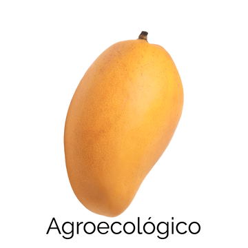 Mango Ataulfo
