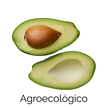 Aguacate